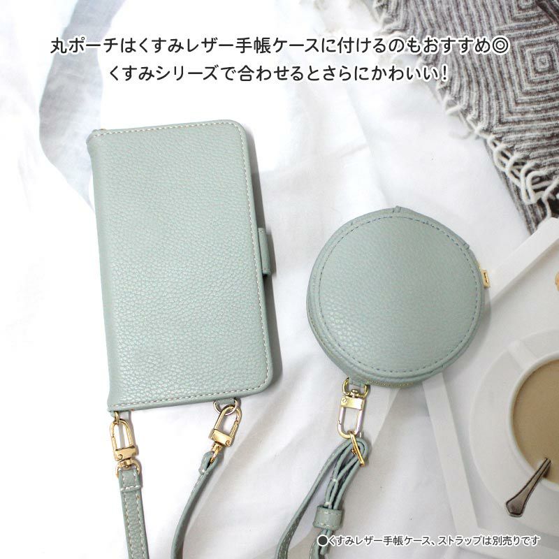 coincase4251g.jpg